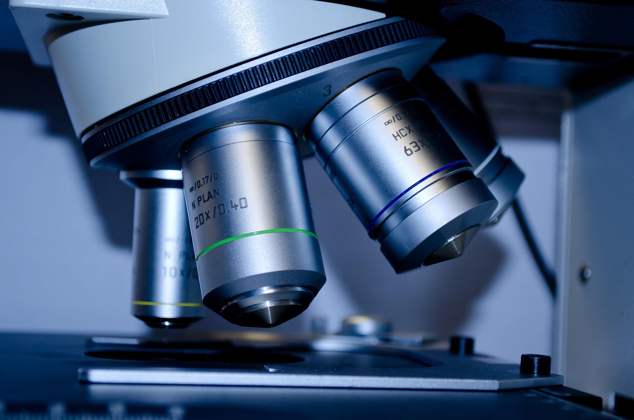 Precision Micromanipulation & ICSI Station